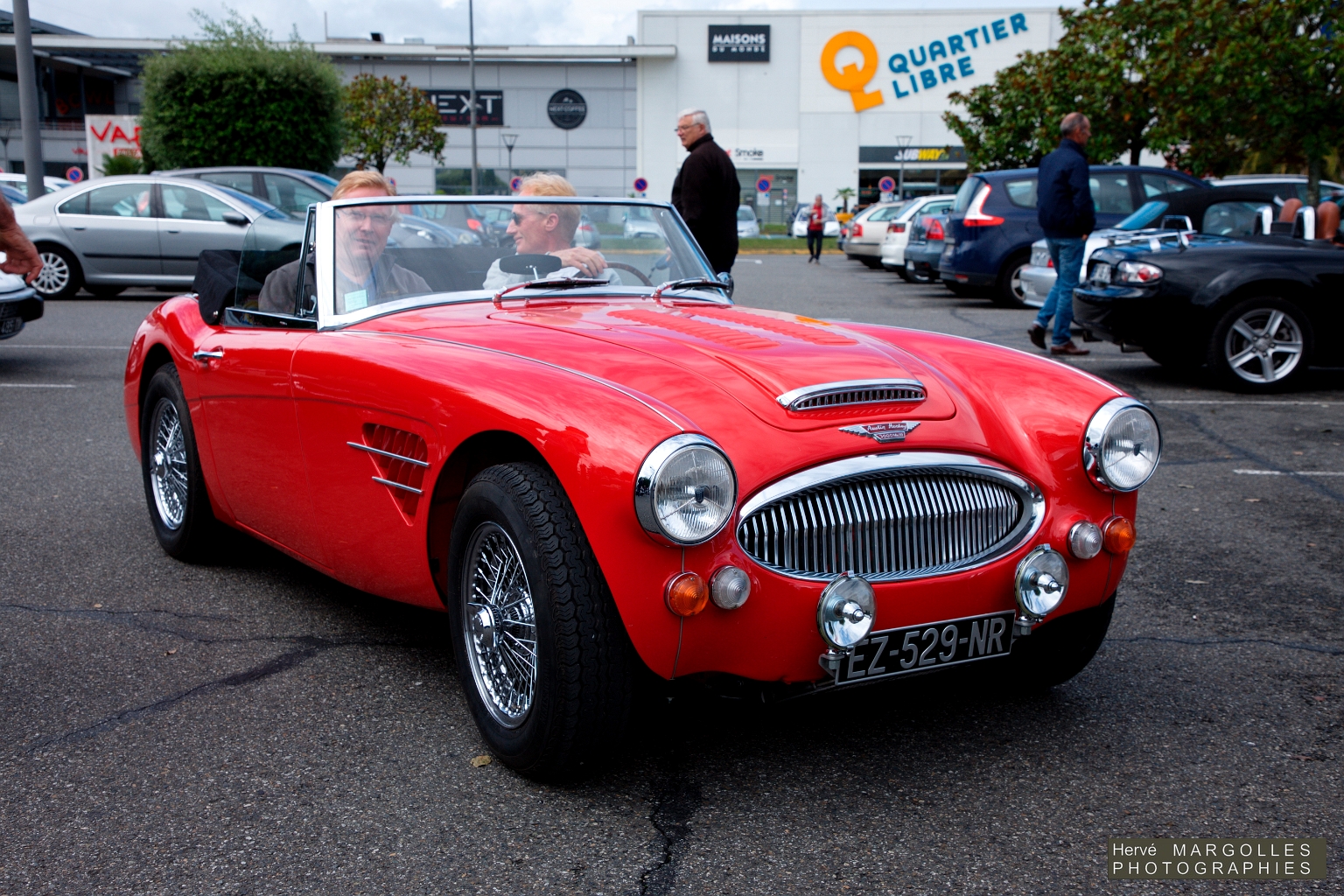 Austin Healey-01.jpg